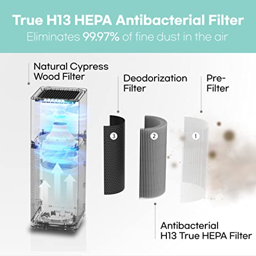 IMUNSEN M-001B Air Purifier with Cypress Wood Filter