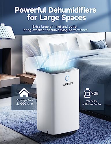 12L/Day Dehumidifier with Digital Humidity Display Control