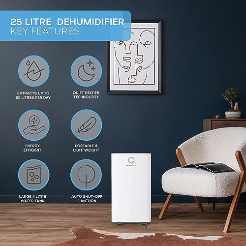 MONHOUSE 25L/Day Digital Dehumidifier - Large 4L Tank