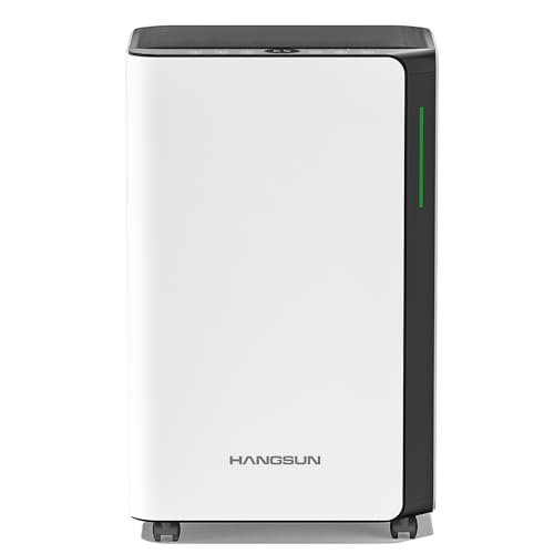 Hangsun 20L/Day Dehumidifiers for Home Dehumidifier for Drying Clothes and Damp