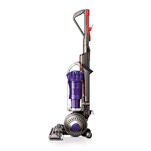 Dyson DC40 Animal Lightweight