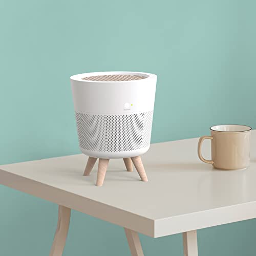 IMUNSEN M-002W Air Purifier