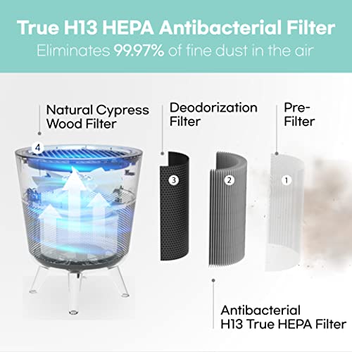 IMUNSEN M-002W Air Purifier