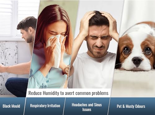 PureMate 20L/Day Portable & Compact Dehumidifier