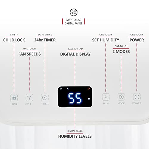 NETTA 12L/Day Low Energy Dehumidifier