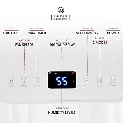 NETTA 12L/Day Low Energy Dehumidifier