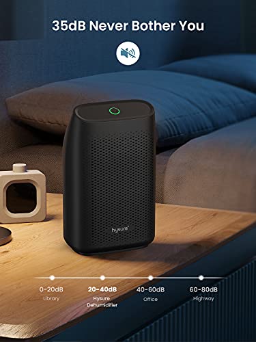 Hysure Dehumidifier for Home Damp 700mL
