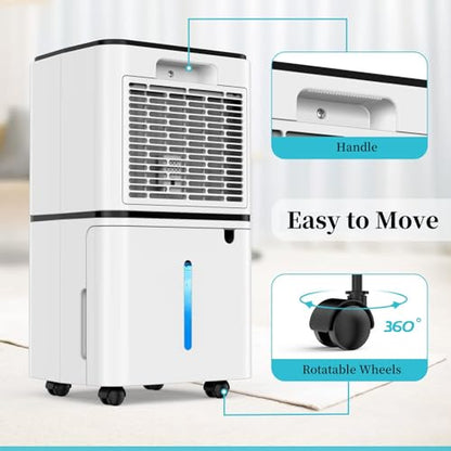 12L Dehumidifier for Home Damp & Condensation