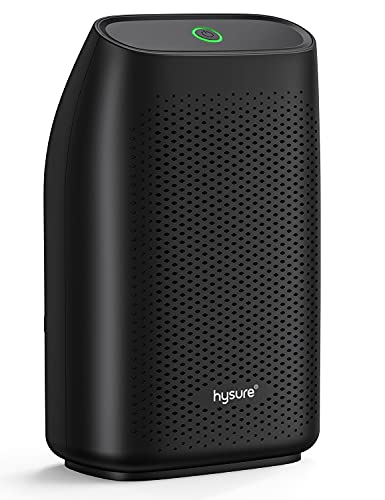 Hysure Dehumidifier for Home Damp 700mL