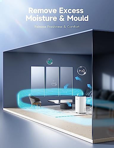 12L/Day Dehumidifier with Digital Humidity Display Control