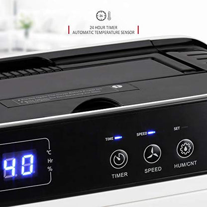 NETTA 12L/Day Low Energy Dehumidifier - Digital Control Panel