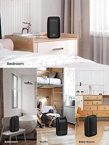 Hysure Dehumidifier for Home Damp 700mL