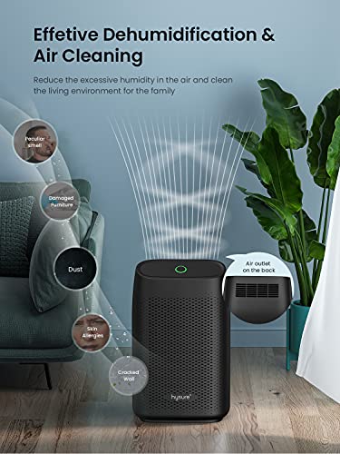 Hysure Dehumidifier for Home Damp 700mL