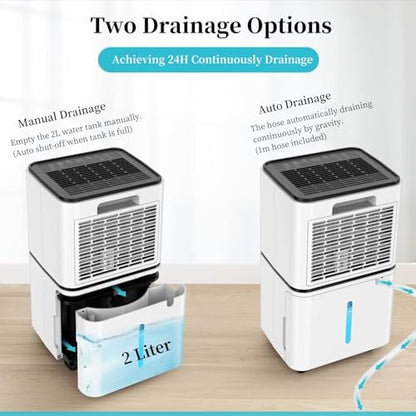12L Dehumidifier for Home Damp & Condensation