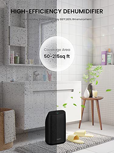 Hysure Dehumidifier for Home Damp 700mL