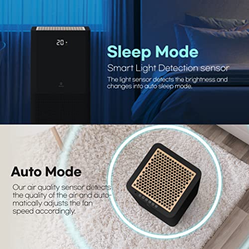 IMUNSEN M-001B Air Purifier with Cypress Wood Filter