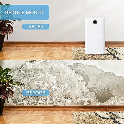 MONHOUSE 12L/Day Digital Dehumidifier