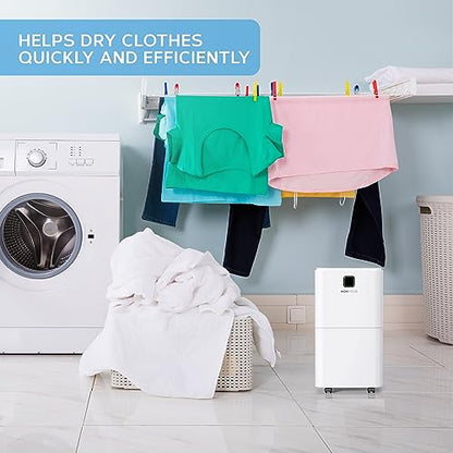 MONHOUSE 12L/Day Digital Dehumidifier