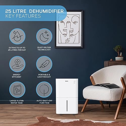 Air Pro 25L/Day Digital Dehumidifier - WIFI App - Large 4L Tank