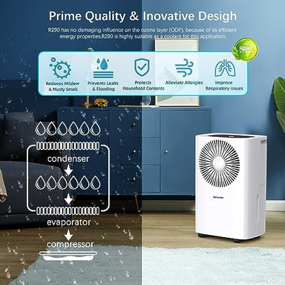 10L/Day Dehumidifiers for Home,Compressor Dehumidifier