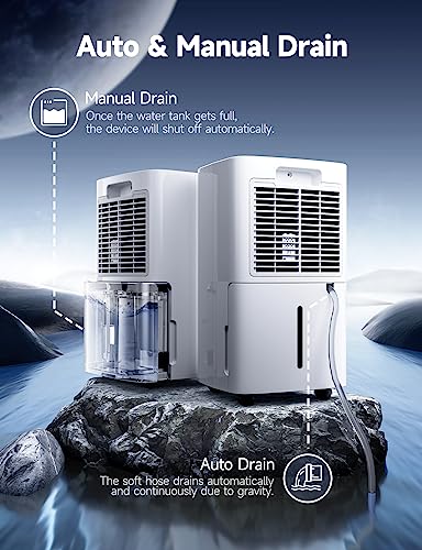 12L/Day Dehumidifier with Digital Humidity Display Control